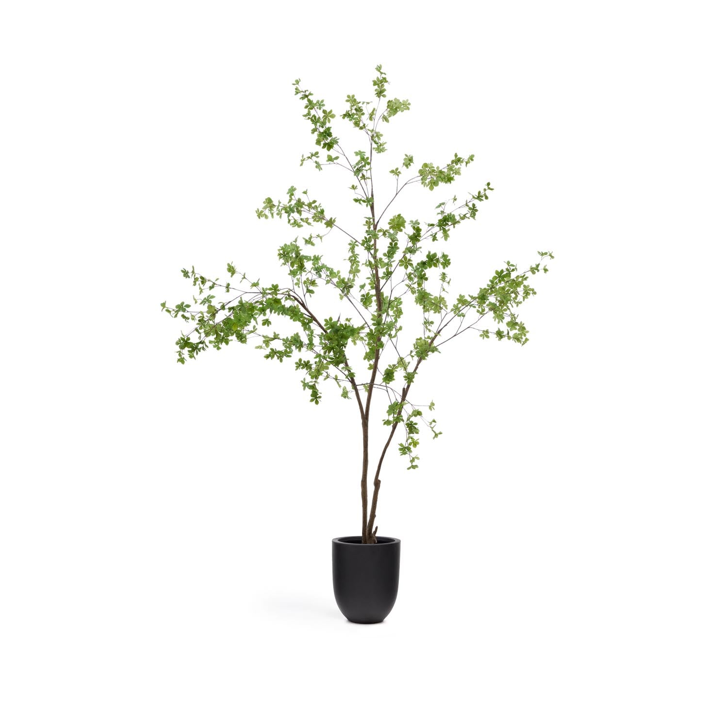 Kunstbaum Enkianthus mit schwarzem Übertopf 214 cm