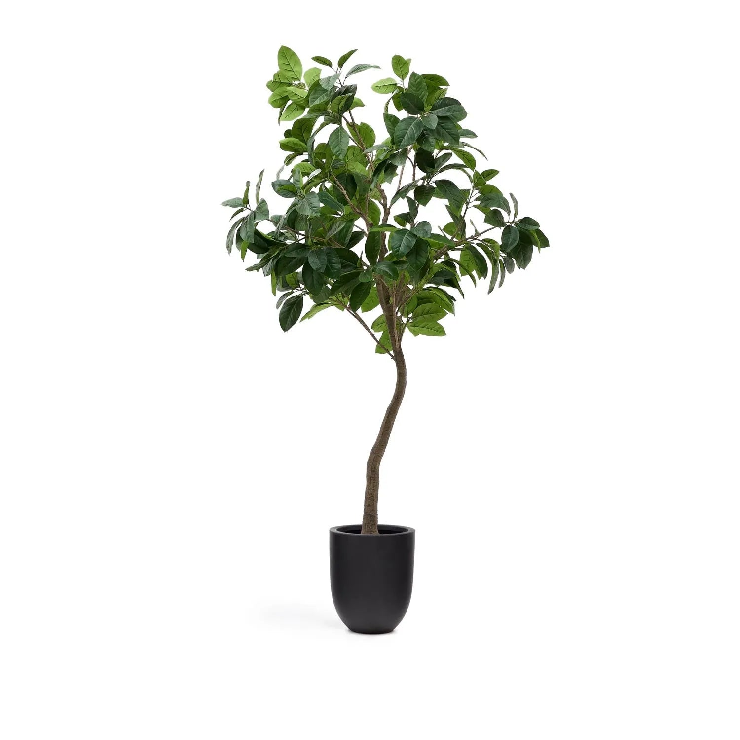 Kunstbaum Ficus 210 cm von Kave Home: Eleganter Blickfang mit schwarzem Topf, pflegeleicht und ideal für jeden Raum.