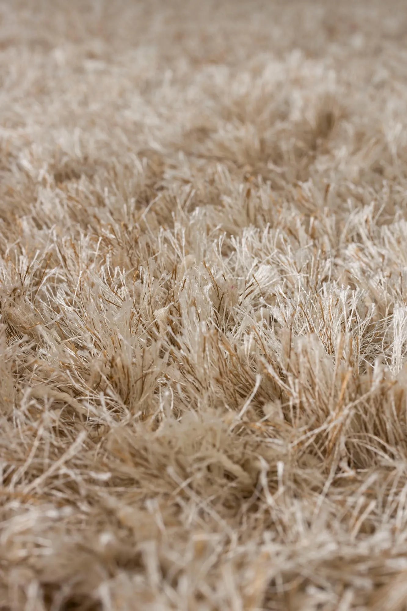 Teppich Hairy 200x290 in Beige präsentiert im Onlineshop von KAQTU Design AG. Teppich ist von Dutchbone