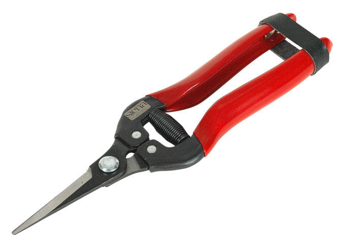 SIENA GARDEN Leseschere Premium 19 cm in Rot präsentiert im Onlineshop von KAQTU Design AG. Gartenscheren ist von SIENA GARDEN