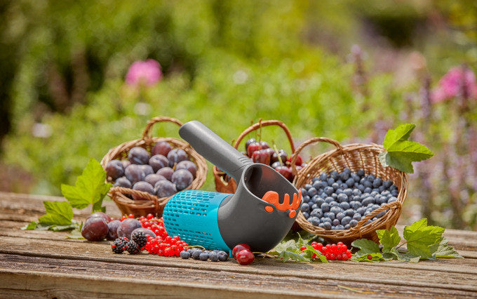 GARDENA Beerensammler Combysystem in  präsentiert im Onlineshop von KAQTU Design AG. Gartenwerkzeug ist von GARDENA