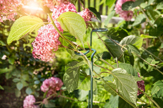 WINDHAGER Blumen-/Pflanzenstützen grün 90 cm in Grün präsentiert im Onlineshop von KAQTU Design AG. Gartenutensilien ist von WINDHAGER