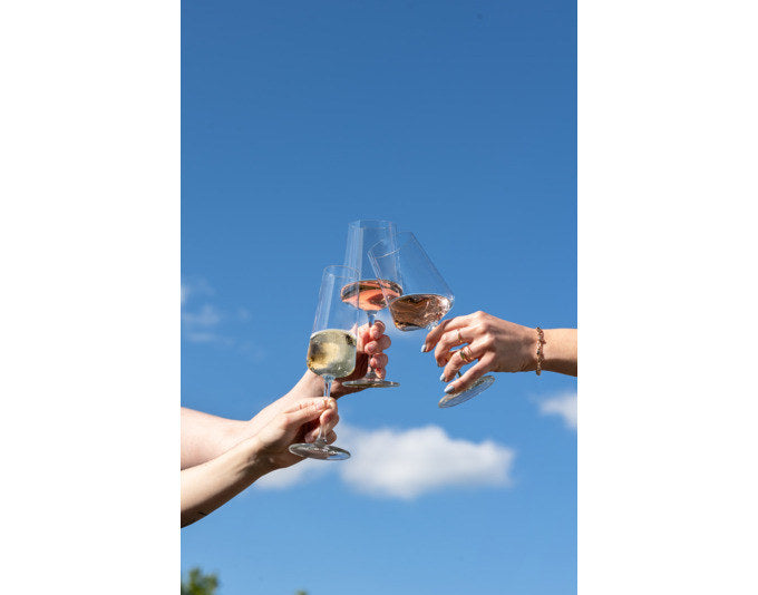 SCHOTT ZWIESEL Sektglas MioVino 7 4 Stück in Transparent präsentiert im Onlineshop von KAQTU Design AG. Champagner Flutes ist von SCHOTT ZWIESEL