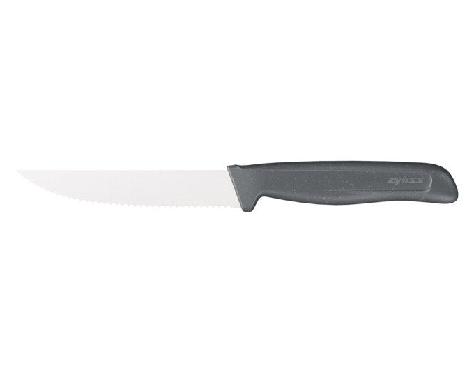 ZYLISS Steakmesser 11 cm schwarz in Schwarz präsentiert im Onlineshop von KAQTU Design AG. Steakmesser ist von ZYLISS