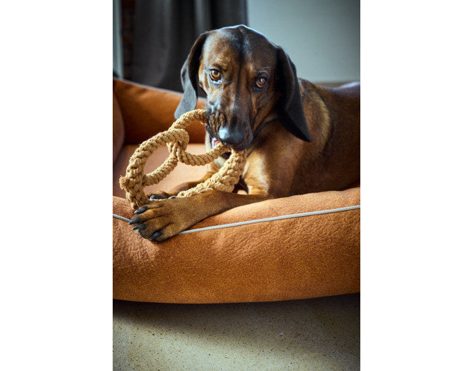 LABONI Spielzeug Britta Brezel in Braun präsentiert im Onlineshop von KAQTU Design AG. Hundebedarf ist von LABONI