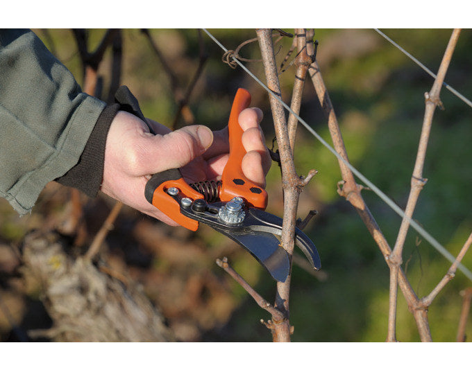 BAHCO Rebschere PX-L3 Ergo fester Griff Schneidkapazität 3 gross in Schwarz, Rot präsentiert im Onlineshop von KAQTU Design AG. Gartenscheren ist von BAHCO