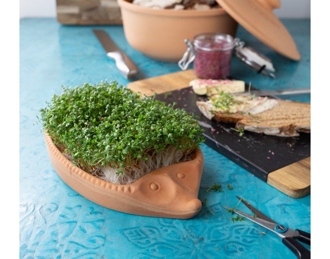 RÖMERTOPF Kresse-Igel 24x14x4 cm terracotta in Terracotta, Braun präsentiert im Onlineshop von KAQTU Design AG. Gartenutensilien ist von RÖMERTOPF