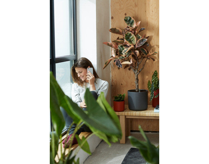 ELHO Übertopf b.for soft rund 35 cm anthrazit in Anthrazit, Grau präsentiert im Onlineshop von KAQTU Design AG. Übertopf ist von ELHO