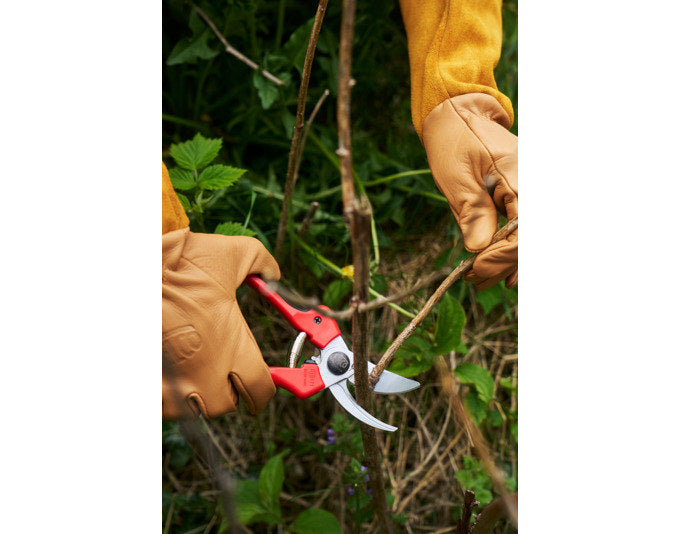 FELCO Baumschere Modell 171L in Rot präsentiert im Onlineshop von KAQTU Design AG. Gartenscheren ist von FELCO
