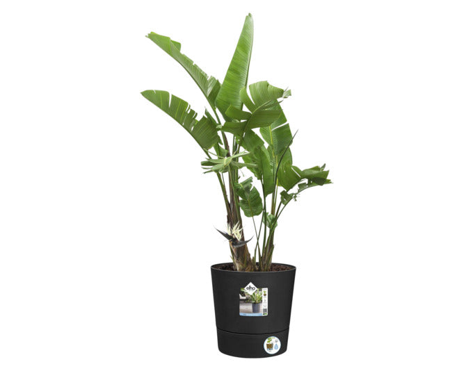 ELHO Pflanzengefäss Foss ø 43 cm schwarz in  präsentiert im Onlineshop von KAQTU Design AG. Blumentopf ist von ELHO
