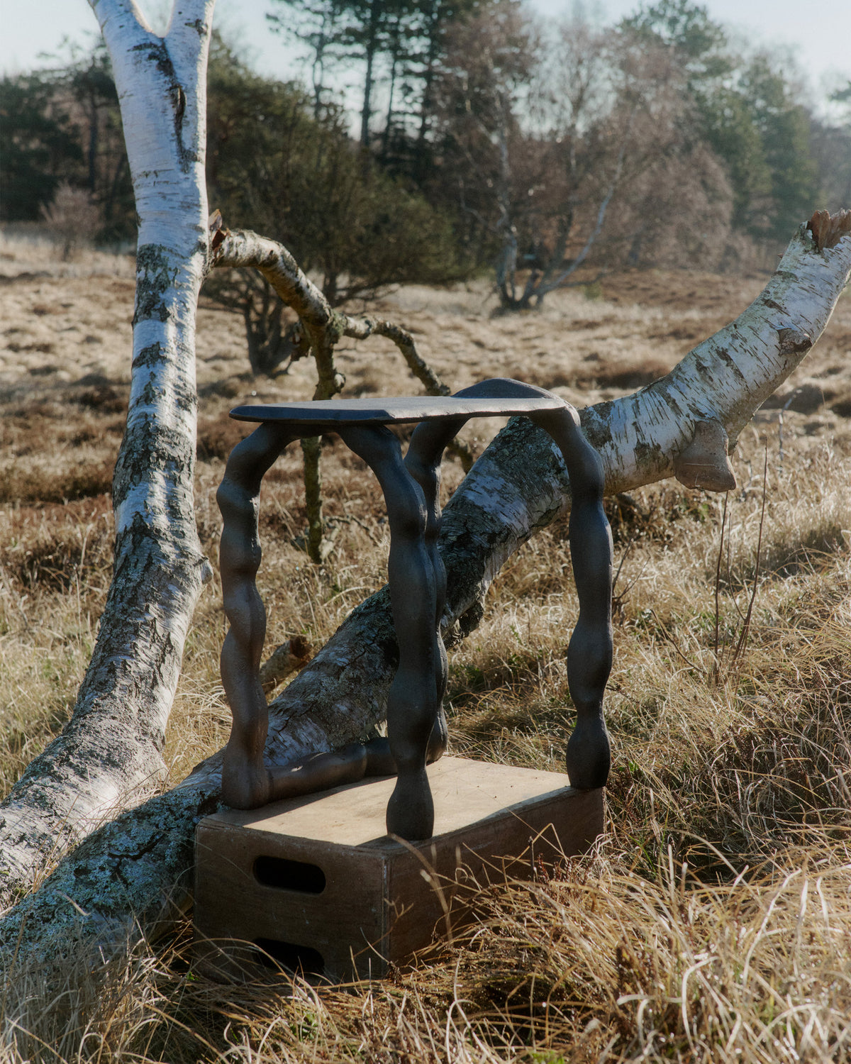 Rotben Skulptur in Schwarz präsentiert im Onlineshop von KAQTU Design AG. Kunstgegenstände ist von Ferm Living
