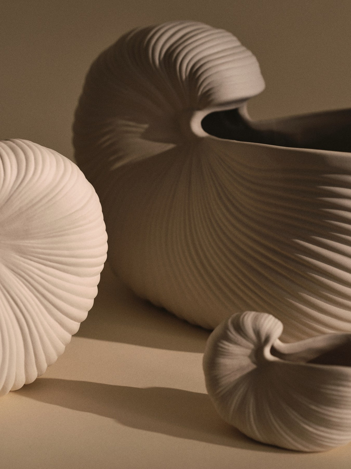 Blumentopf Shell Topf - 23 von Ferm Living in Off-White aus Steingut, aussen unglasiert und matt, innen glasiert, skulpturale Form.