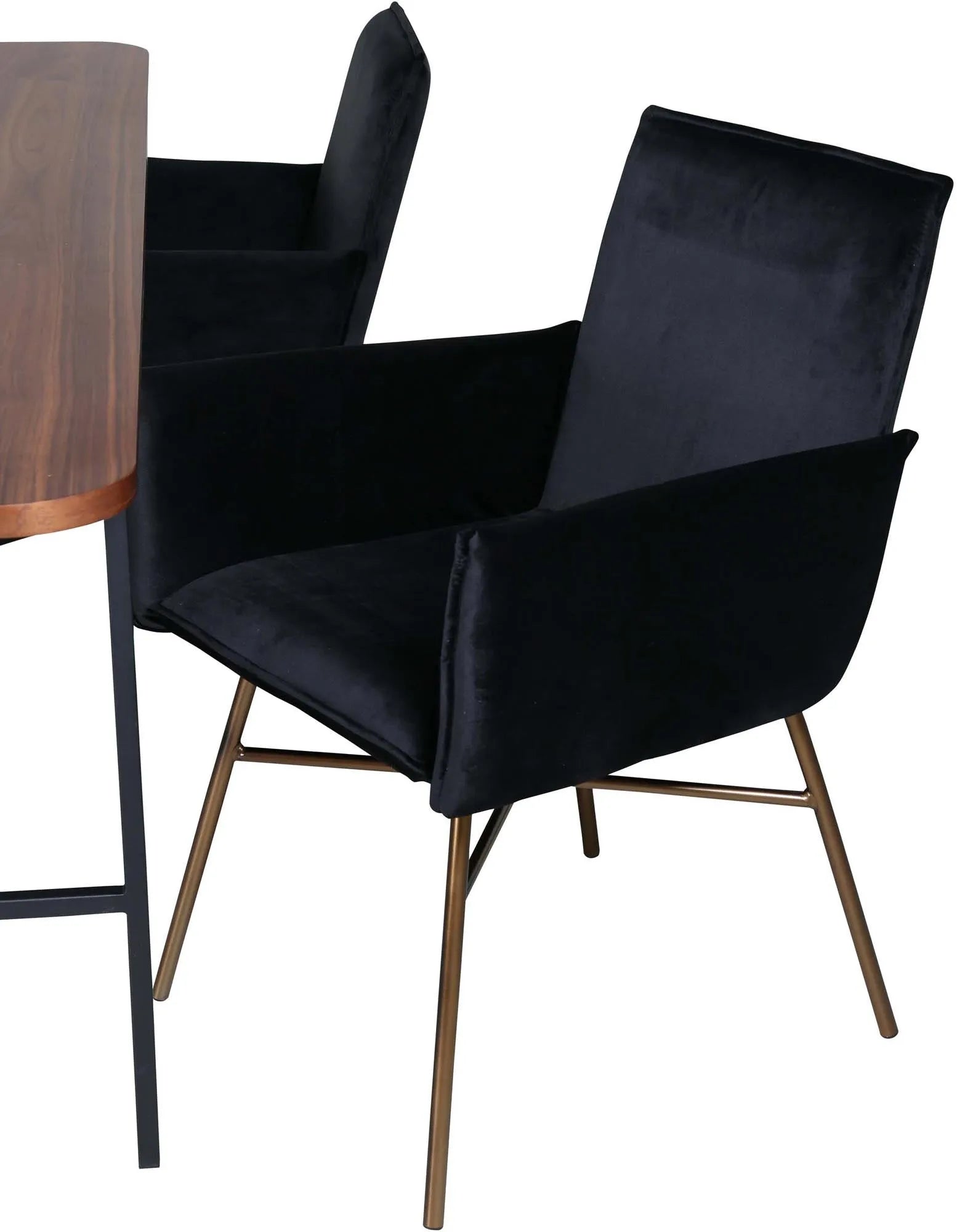 Stilvolles Esszimmerset Uno mit Petra Tisch und 4 Stühlen, 200cm.
