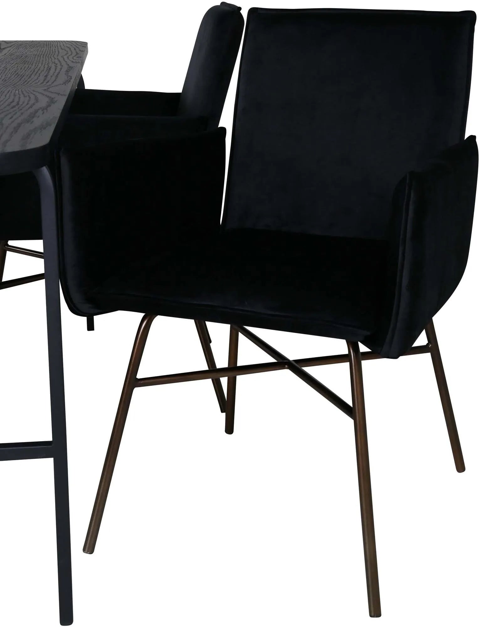 Stilvolles Esszimmerset Uno mit Petra Tisch und 4 Stühlen, 200cm.