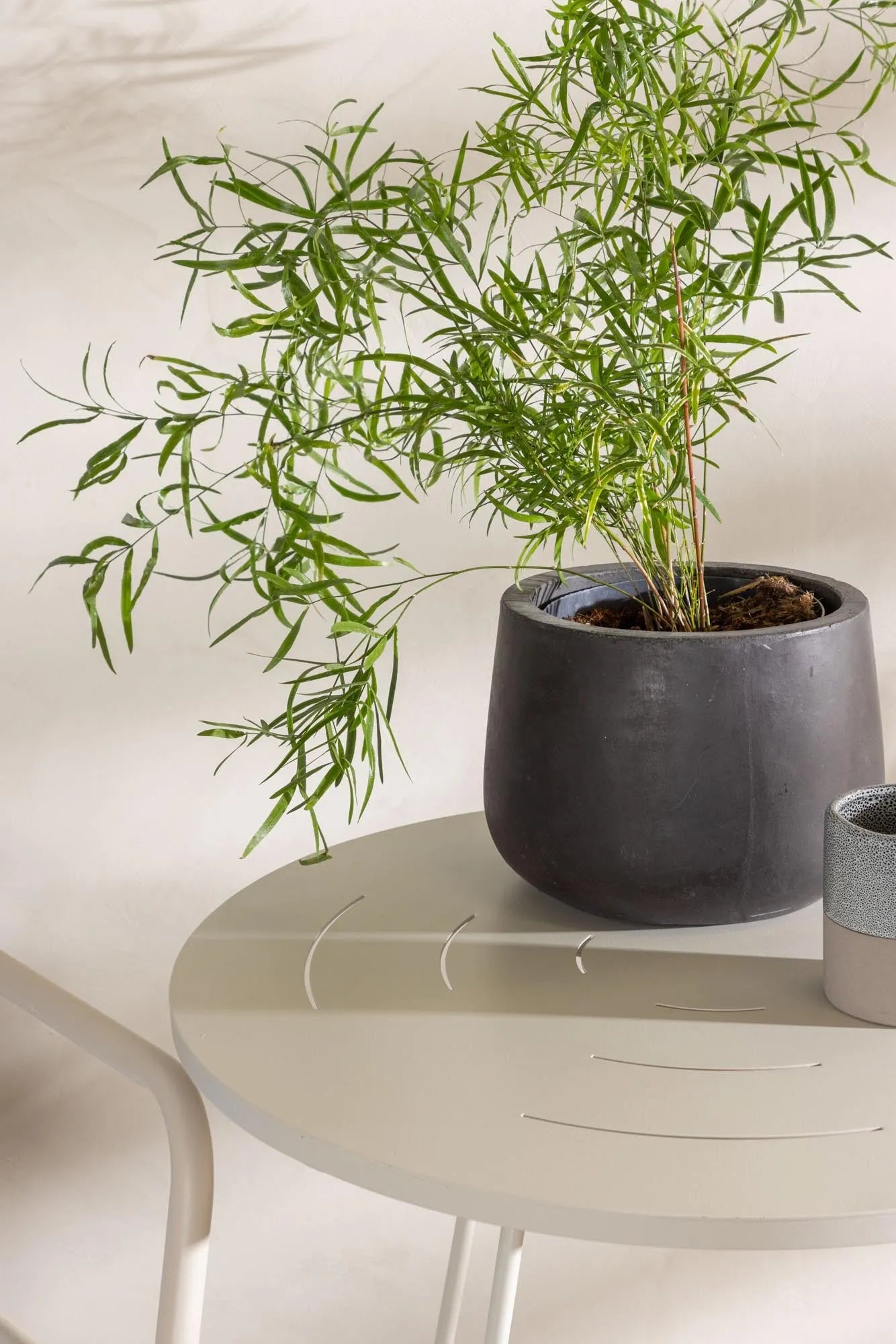 Robustes Bacong Tischset für gemütliche Outdoor-Abende von Venture Home.