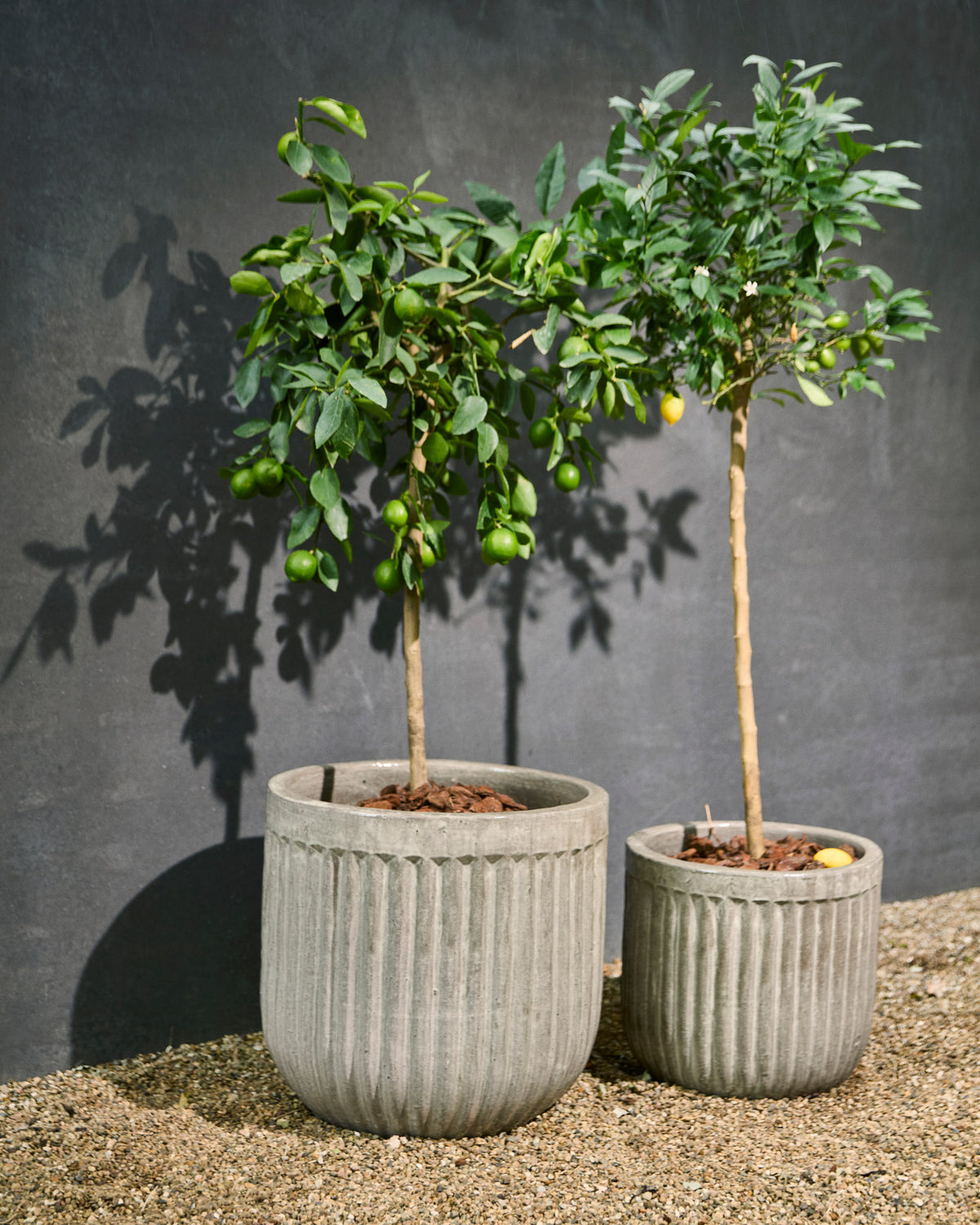 Blumenkasten, Pharao in Antikes braun präsentiert im Onlineshop von KAQTU Design AG. Pflanzentopf Outdoor ist von House Doctor