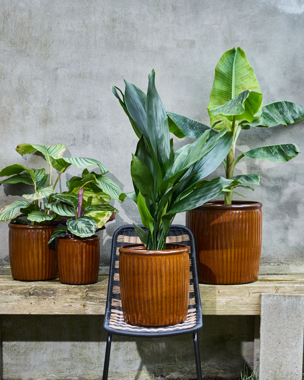 Blumentopf, HDGroove, Braun in Braun präsentiert im Onlineshop von KAQTU Design AG. Pflanzentopf Outdoor ist von House Doctor