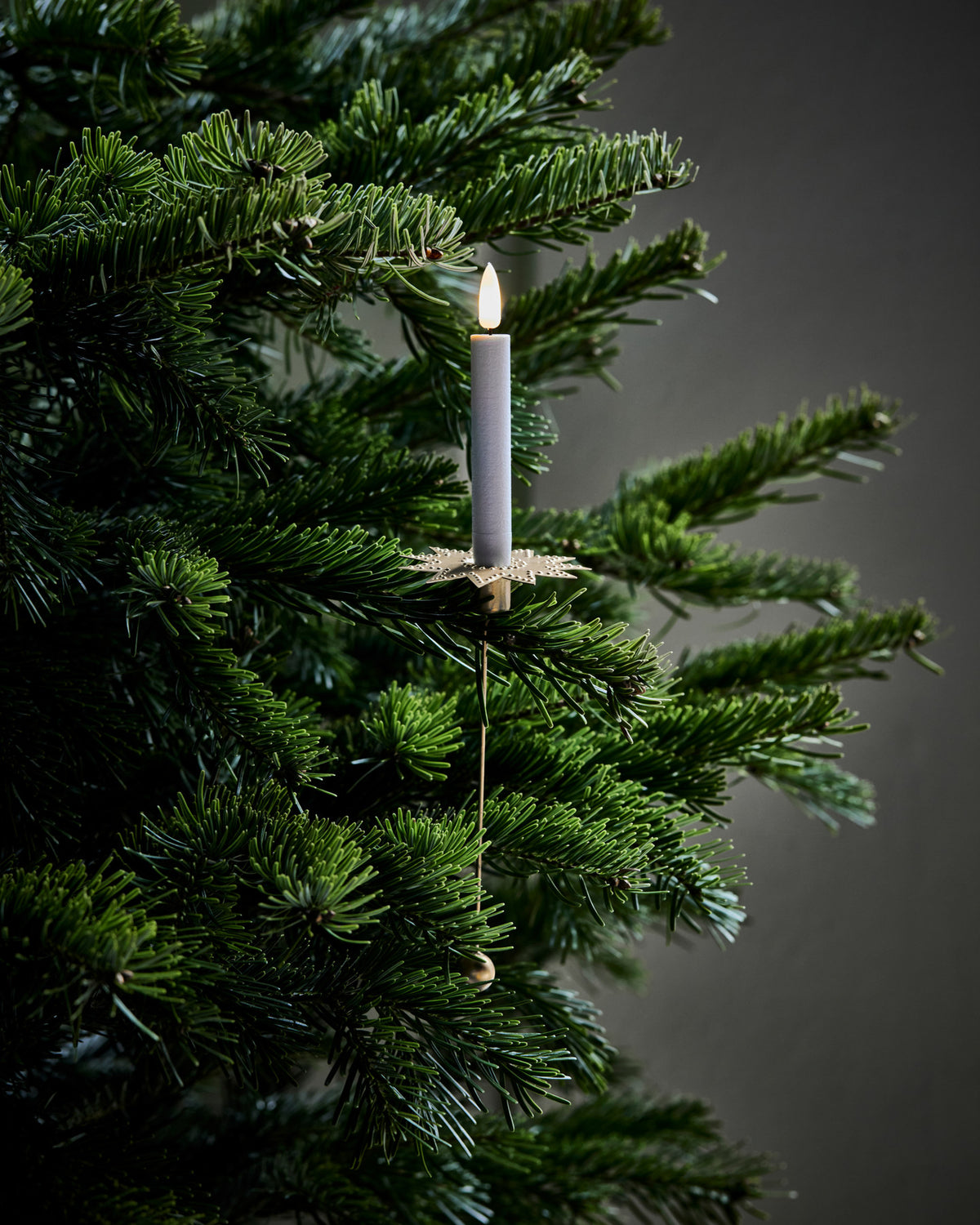 Vier sternförmige Kerzenständer HDLeaves aus Eisen in antikem Messing-Finish mit Stempelmuster;Vier sternförmige Kerzenständer HDLeaves aus Eisen in antikem Messing-Finish mit Stempelmuster;Vier sternförmige Kerzenständer HDLeaves aus Eisen in antikem Messing-Finish mit Stempelmuster;Vier sternförmige Kerzenständer HDLeaves aus Eisen in antikem Messing-Finish mit Stempelmuster;Vier sternförmige Kerzenständer HDLeaves aus Eisen in antikem Messing-Finish mit Stempelmuster