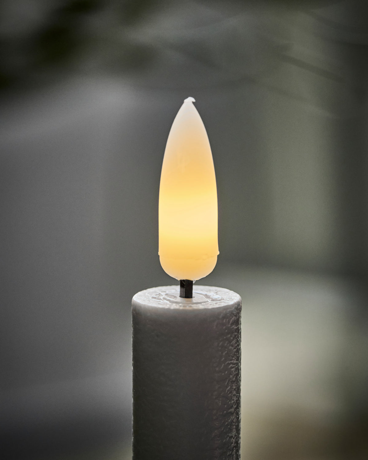 Vier sternförmige Kerzenständer HDLeaves aus Eisen in antikem Messing-Finish mit Stempelmuster