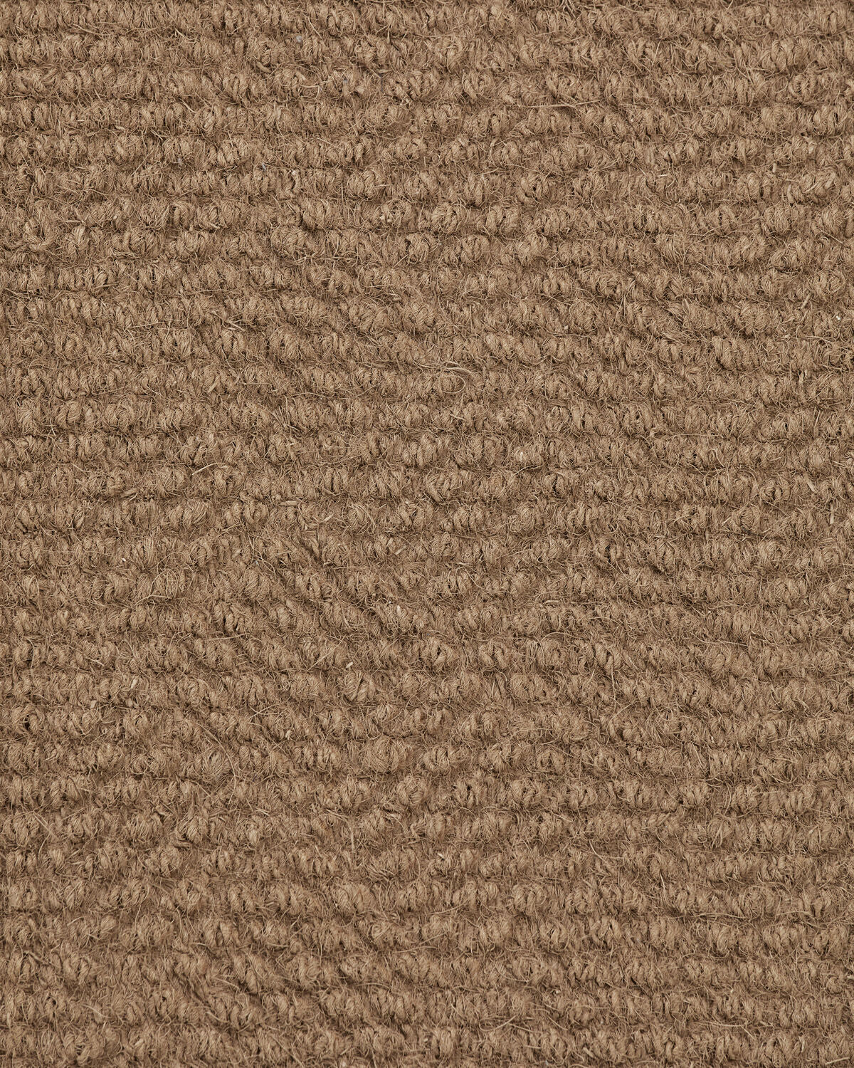Fussmatte, Clean in Natur präsentiert im Onlineshop von KAQTU Design AG. Türmatte ist von House Doctor