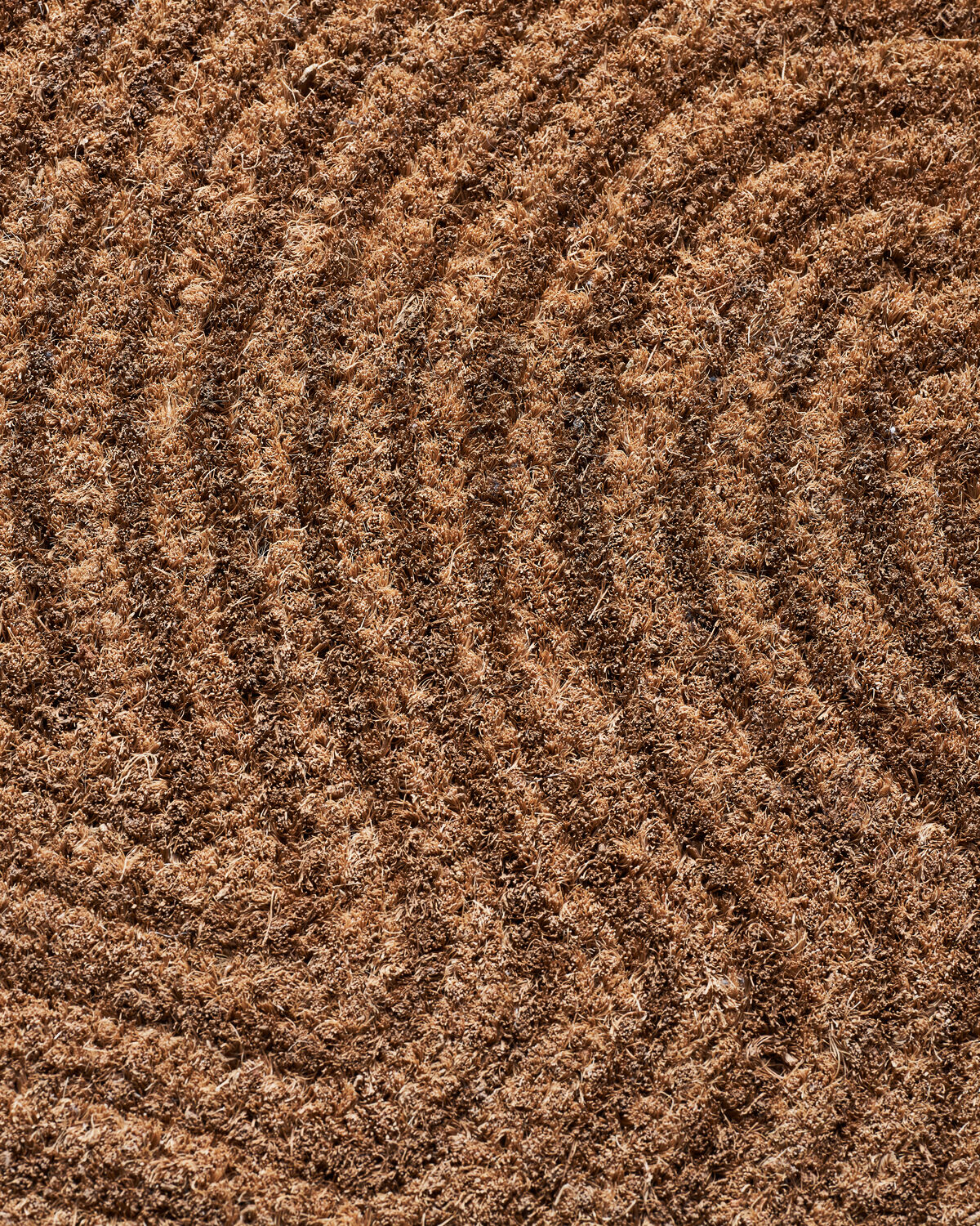 Fußmatte, HDTrip, Natur in Natur präsentiert im Onlineshop von KAQTU Design AG. Türmatte ist von House Doctor