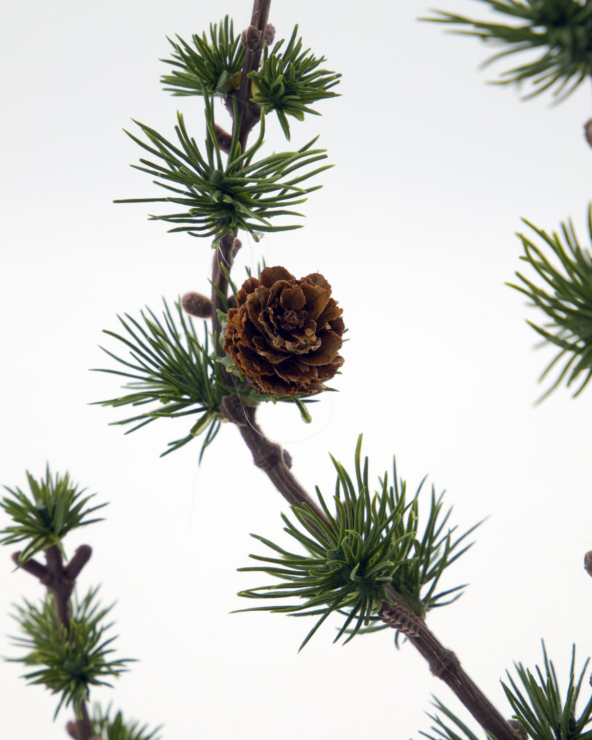 Weihnachtsbaum, HDStay, Grün in Grün präsentiert im Onlineshop von KAQTU Design AG. Weihnachtszubehör ist von House Doctor
