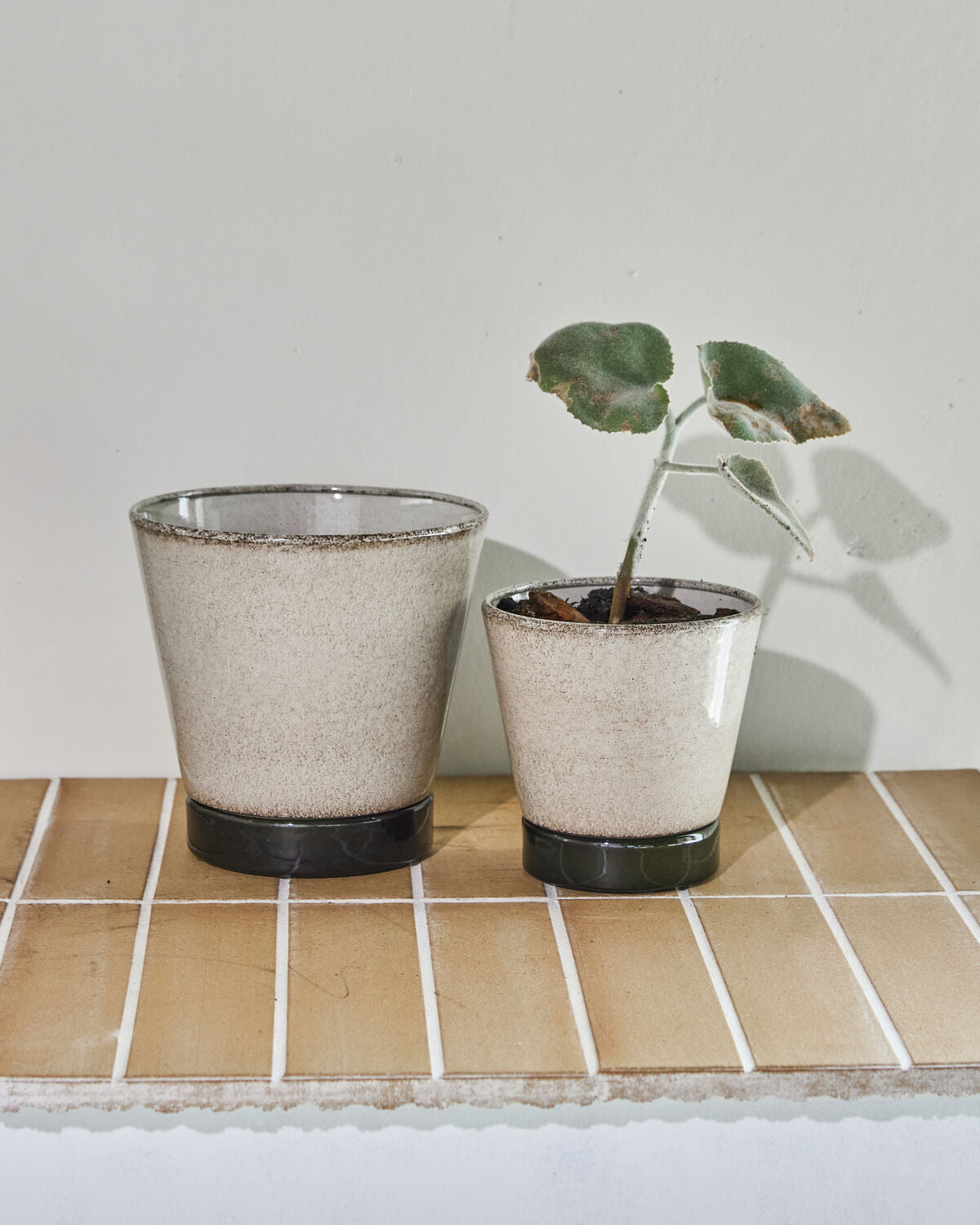 Blumentopf, HDLima, Beige, Grün in Beige präsentiert im Onlineshop von KAQTU Design AG. Pflanzentopf Outdoor ist von House Doctor