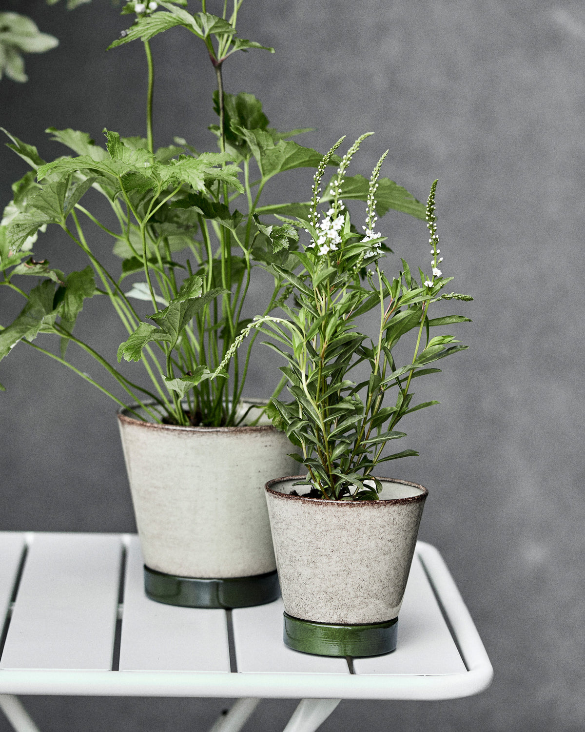 Blumentopf, HDLima, Beige, Grün in Beige präsentiert im Onlineshop von KAQTU Design AG. Pflanzentopf Outdoor ist von House Doctor;Blumentopf, HDLima, Beige, Grün in Beige präsentiert im Onlineshop von KAQTU Design AG. Pflanzentopf Outdoor ist von House Doctor;Blumentopf, HDLima, Beige, Grün in Beige präsentiert im Onlineshop von KAQTU Design AG. Pflanzentopf Outdoor ist von House Doctor
