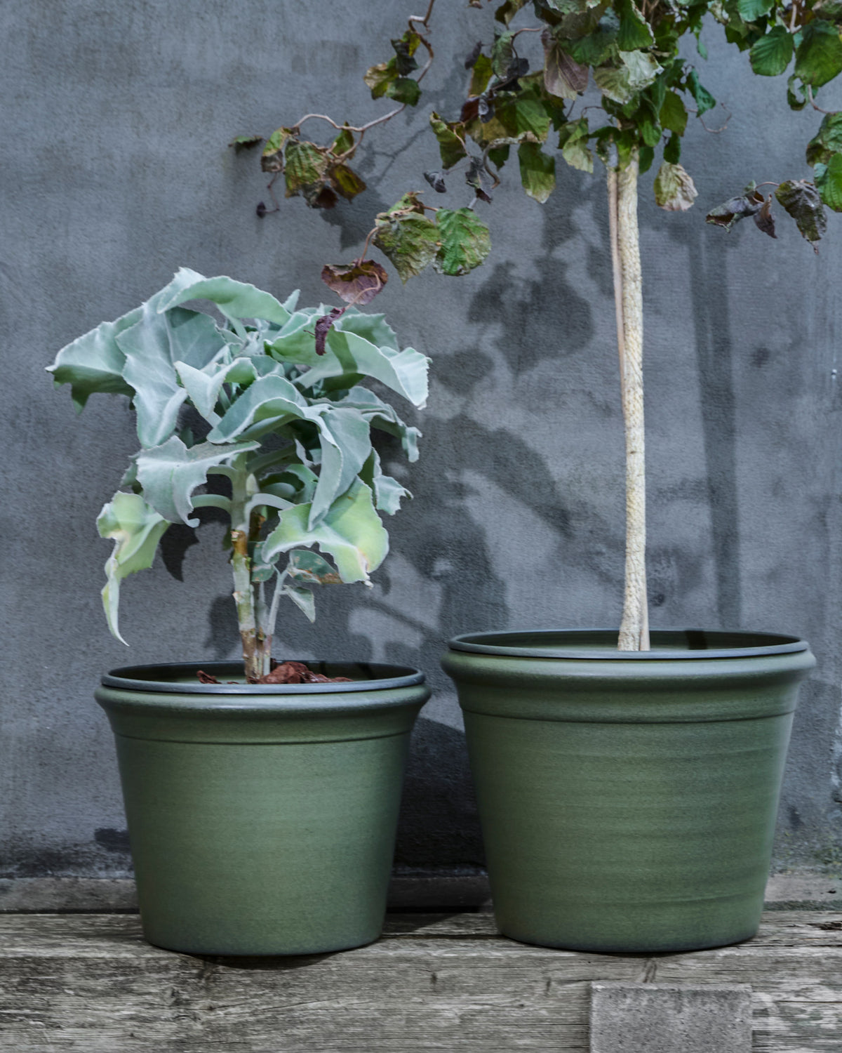 Blumentopf, HDIvy, Grün in Green präsentiert im Onlineshop von KAQTU Design AG. Pflanzentopf Outdoor ist von House Doctor;Blumentopf, HDIvy, Grün in Green präsentiert im Onlineshop von KAQTU Design AG. Pflanzentopf Outdoor ist von House Doctor;Blumentopf, HDIvy, Grün in Green präsentiert im Onlineshop von KAQTU Design AG. Pflanzentopf Outdoor ist von House Doctor;Blumentopf, HDIvy, Grün in Green präsentiert im Onlineshop von KAQTU Design AG. Pflanzentopf Outdoor ist von House Doctor