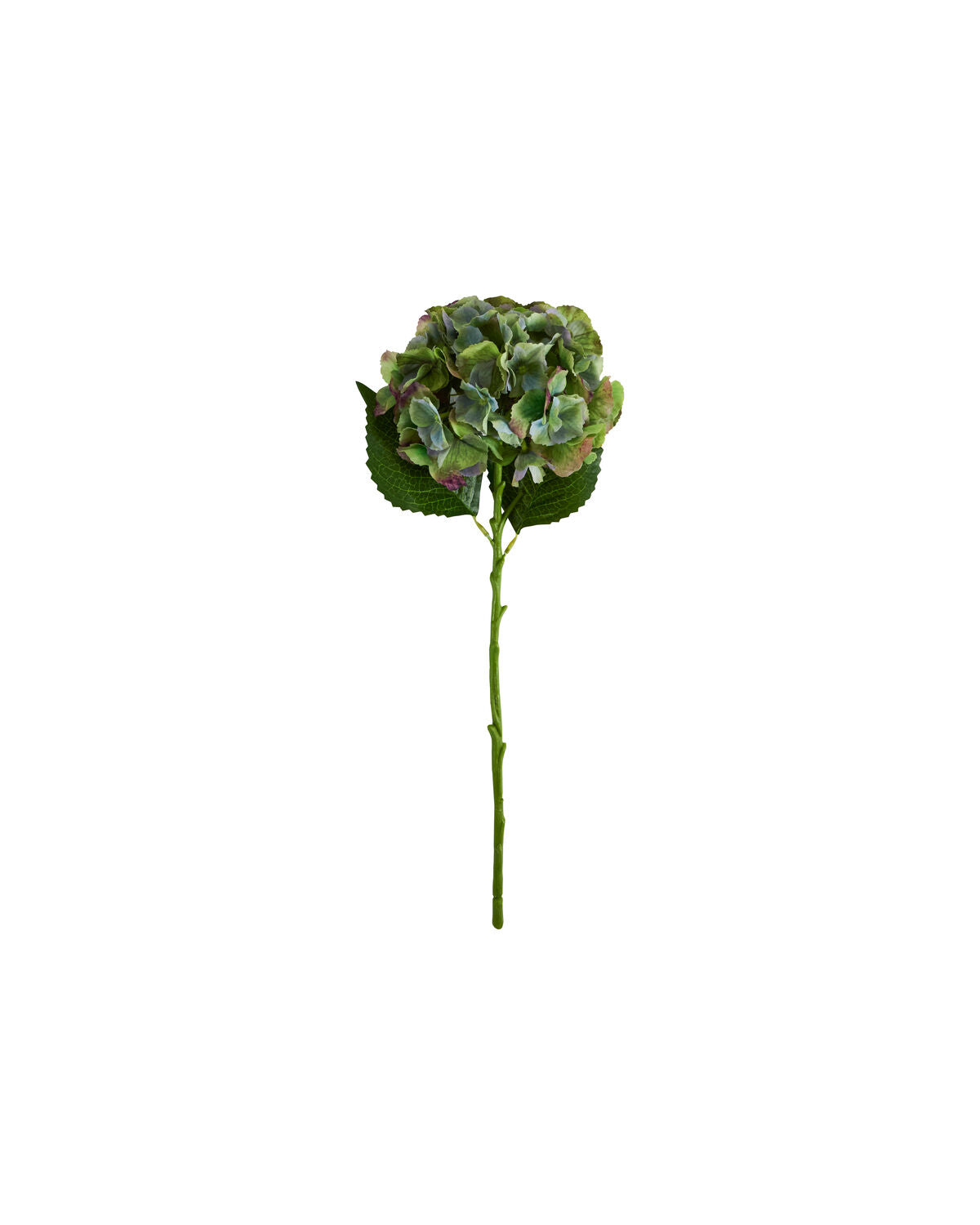 Artificial flower, HDHydrangea, Grün, Blau in Green präsentiert im Onlineshop von KAQTU Design AG. Kunstpflanze ist von House Doctor