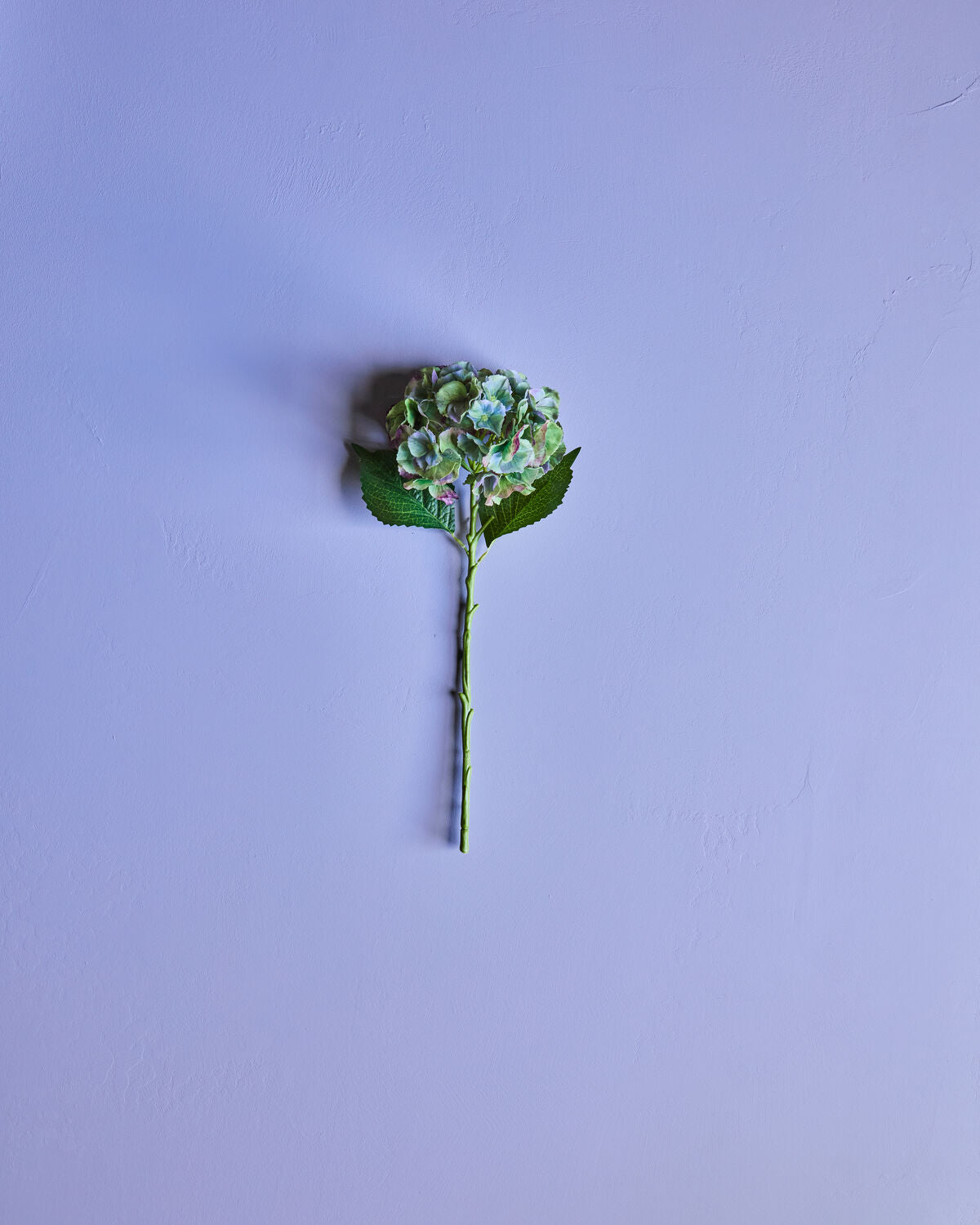 Lebendige Kunstblume in Grün und Blau, HD-Hortensie von House Doctor, ideal für stilvolle Dekoration und Akzente in jedem Raum.
