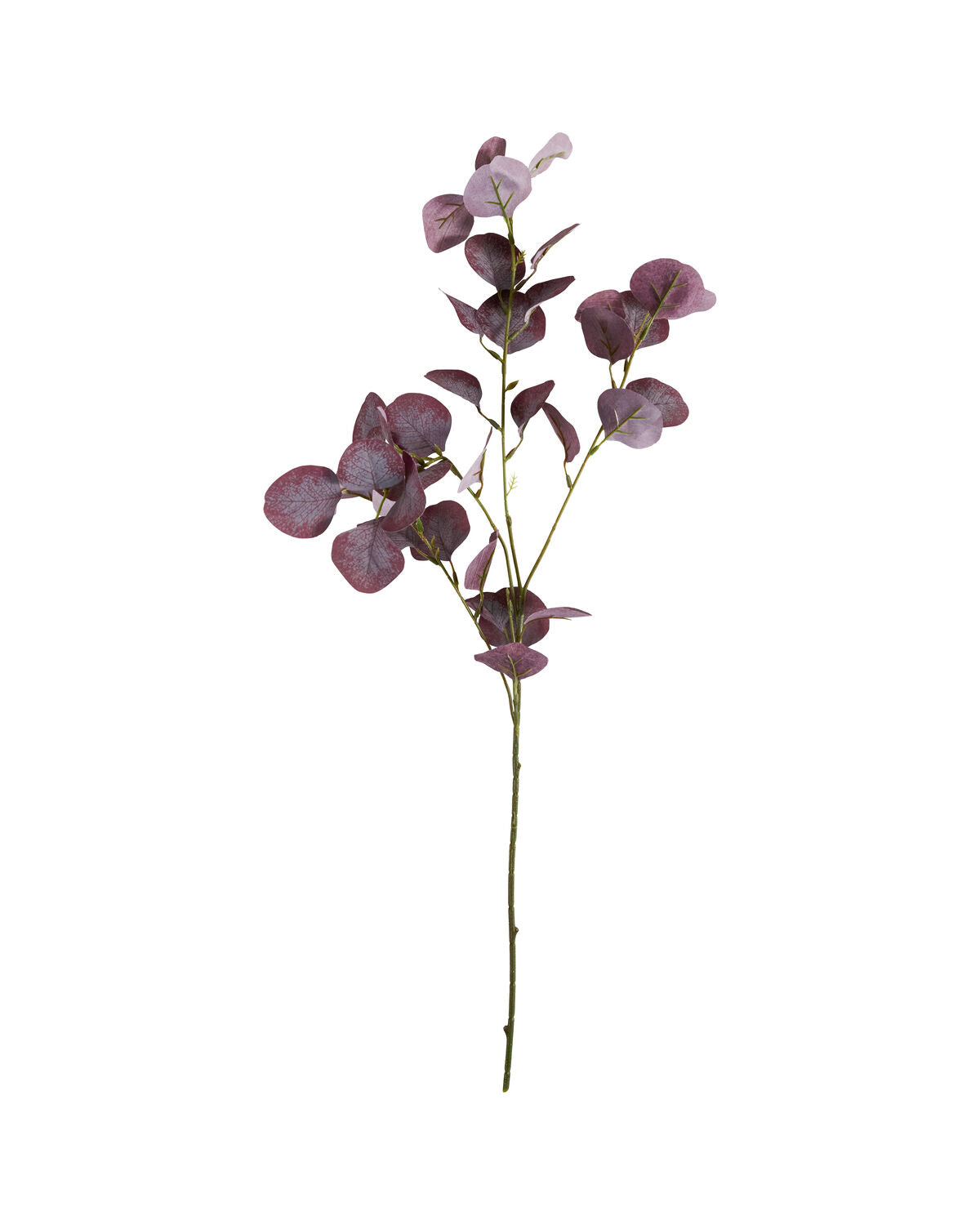 Artificial branch, HDEucalyptus, Bordeaux in Burgundy präsentiert im Onlineshop von KAQTU Design AG. Kunstpflanze ist von House Doctor