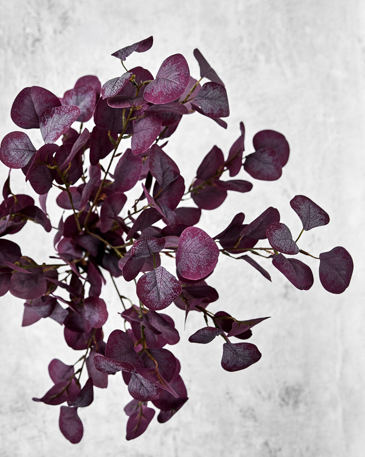 Artificial branch, HDEucalyptus, Bordeaux in Burgundy präsentiert im Onlineshop von KAQTU Design AG. Kunstblume ist von House Doctor