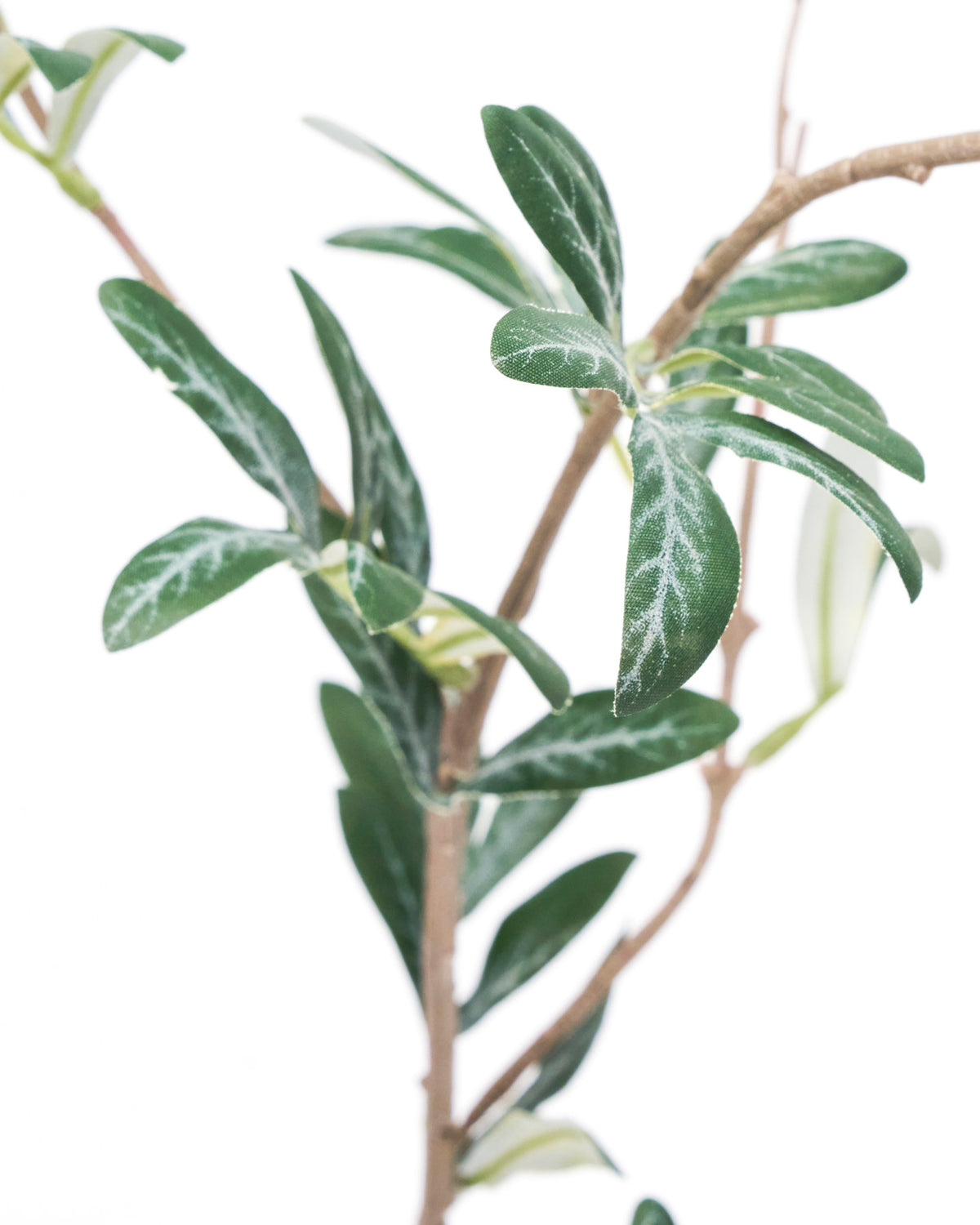 Artificial branch, HDOlive, Grün in Green präsentiert im Onlineshop von KAQTU Design AG. Kunstblume ist von House Doctor