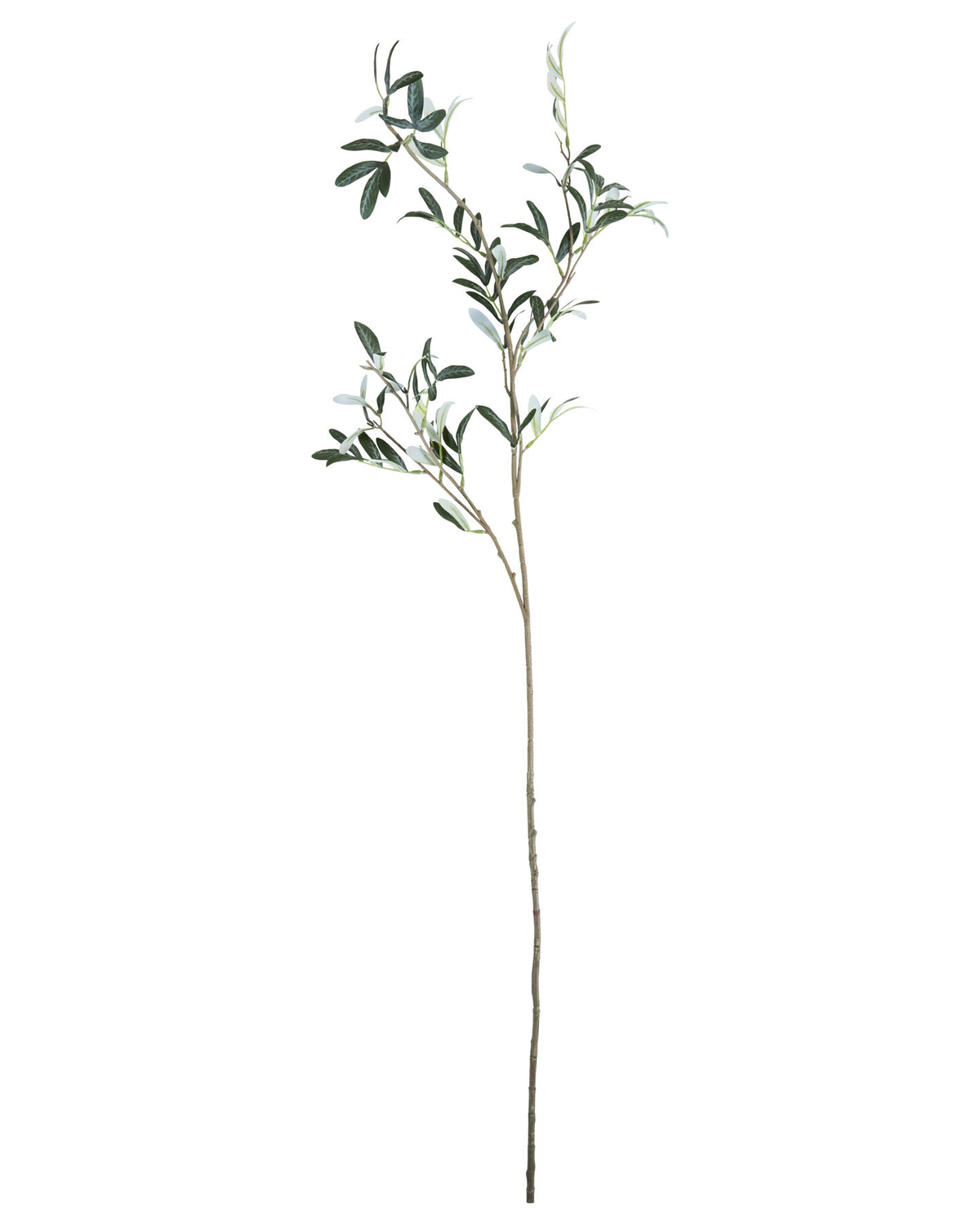 Artificial branch, HDOlive, Grün in Green präsentiert im Onlineshop von KAQTU Design AG. Kunstblume ist von House Doctor;Artificial branch, HDOlive, Grün in Green präsentiert im Onlineshop von KAQTU Design AG. Kunstblume ist von House Doctor;Artificial branch, HDOlive, Grün in Green präsentiert im Onlineshop von KAQTU Design AG. Kunstblume ist von House Doctor;Artificial branch, HDOlive, Grün in Green präsentiert im Onlineshop von KAQTU Design AG. Kunstblume ist von House Doctor