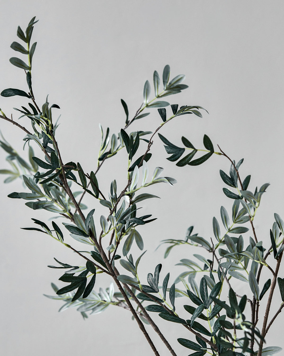 Artificial branch, HDOlive, Grün in Green präsentiert im Onlineshop von KAQTU Design AG. Kunstblume ist von House Doctor;Artificial branch, HDOlive, Grün in Green präsentiert im Onlineshop von KAQTU Design AG. Kunstblume ist von House Doctor;Artificial branch, HDOlive, Grün in Green präsentiert im Onlineshop von KAQTU Design AG. Kunstblume ist von House Doctor;Artificial branch, HDOlive, Grün in Green präsentiert im Onlineshop von KAQTU Design AG. Kunstblume ist von House Doctor