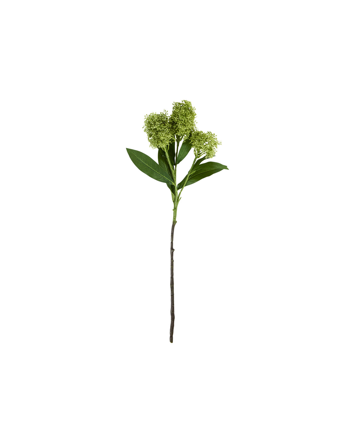 Artificial flower, HDSkimmia, Grün in Green präsentiert im Onlineshop von KAQTU Design AG. Kunstblume ist von House Doctor
