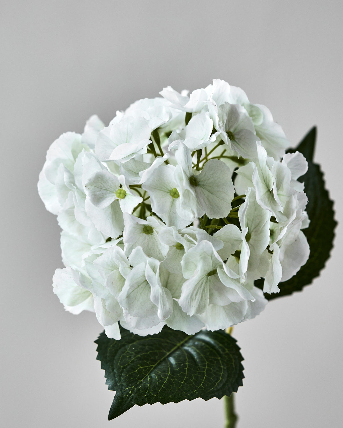 Kunstblume HDHydrangea in Weiss: Hortensienstiel mit rundem, cremigem Blütenkopf