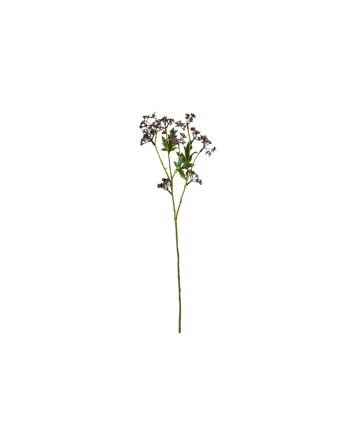 Artificial branch, HDMeadow, Bordeaux in Burgundy präsentiert im Onlineshop von KAQTU Design AG. Kunstpflanze ist von House Doctor