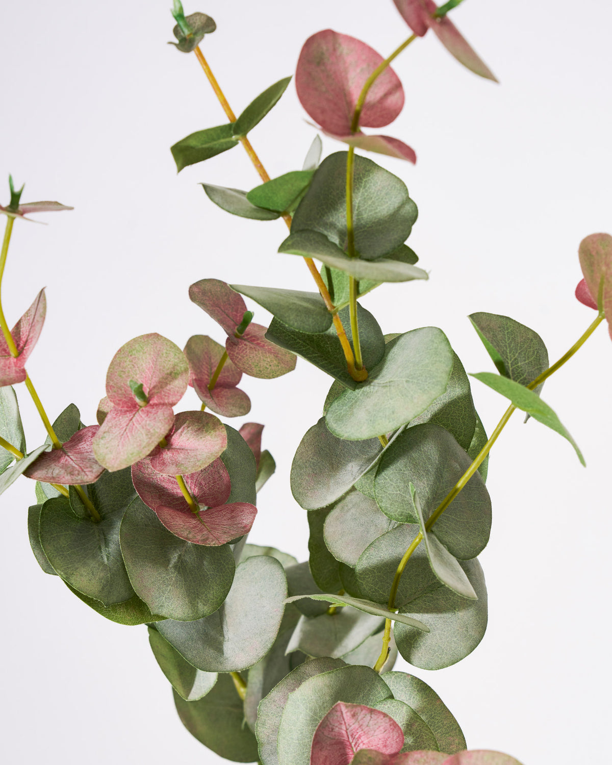 Artificial branch, HDEucalyptus, Grün in Green präsentiert im Onlineshop von KAQTU Design AG. Kunstblume ist von House Doctor