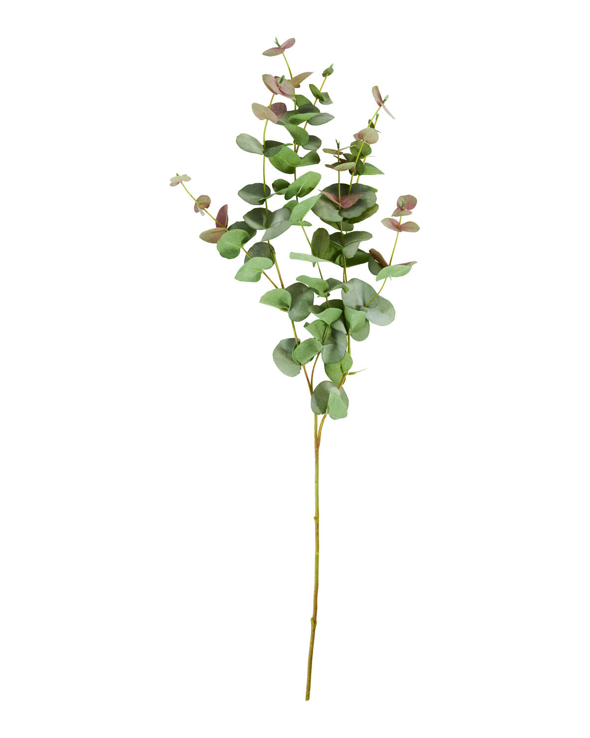 Artificial branch, HDEucalyptus, Grün in Green präsentiert im Onlineshop von KAQTU Design AG. Kunstpflanze ist von House Doctor