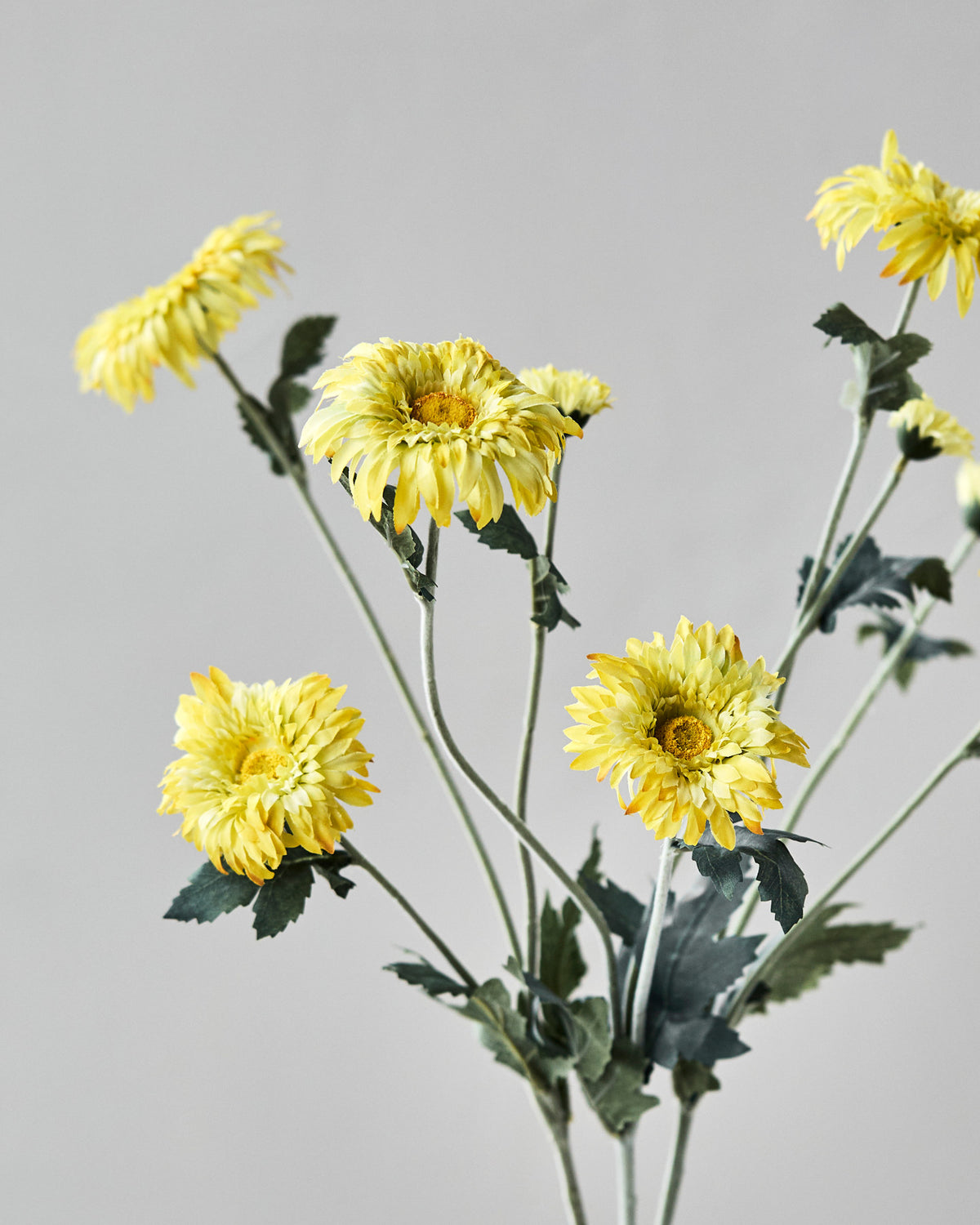 Artificial flower, HDGerbera, Gelb in Yellow präsentiert im Onlineshop von KAQTU Design AG. Kunstblume ist von House Doctor