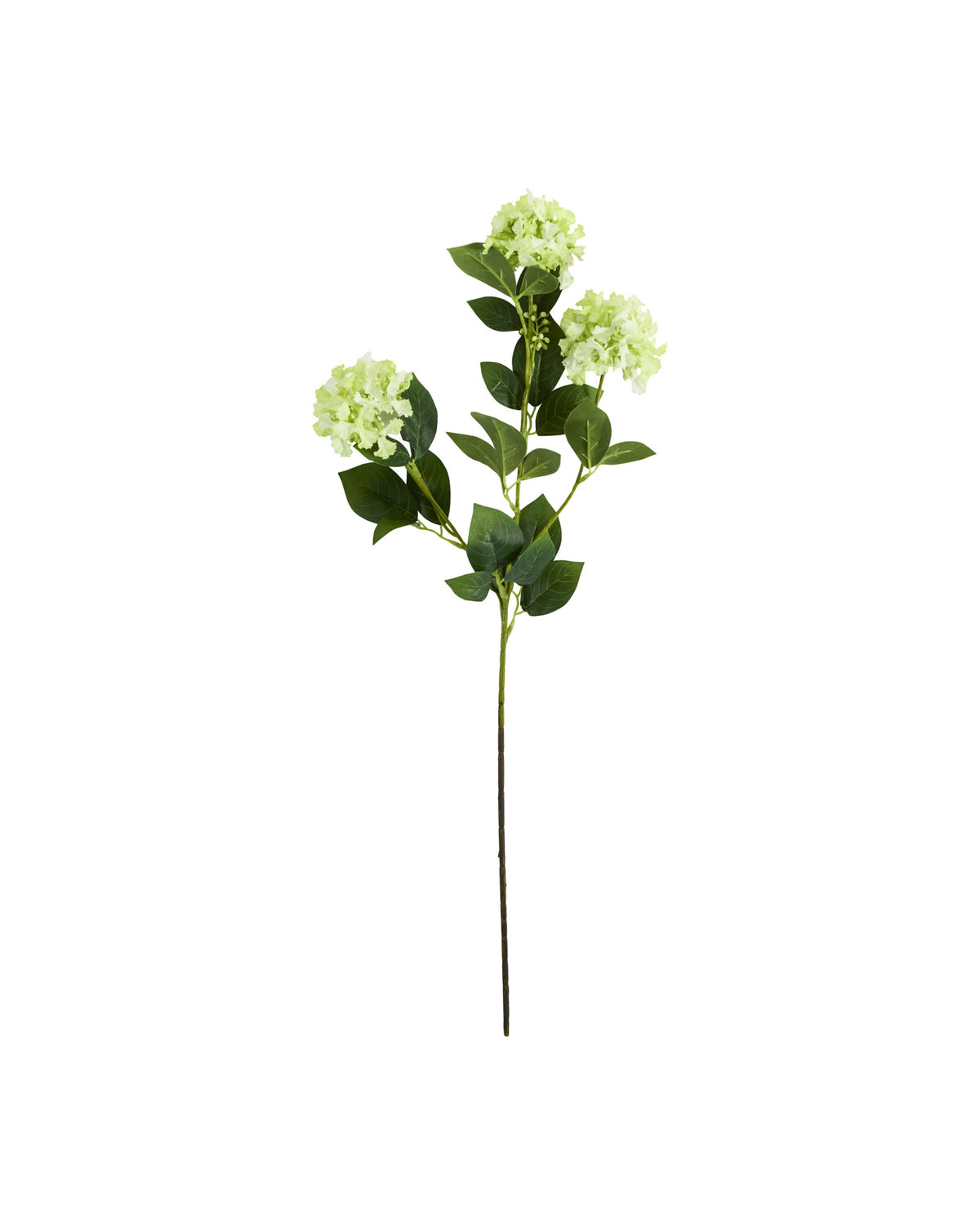 Artificial flower, HDViburnum, Grün in Green präsentiert im Onlineshop von KAQTU Design AG. Kunstblume ist von House Doctor