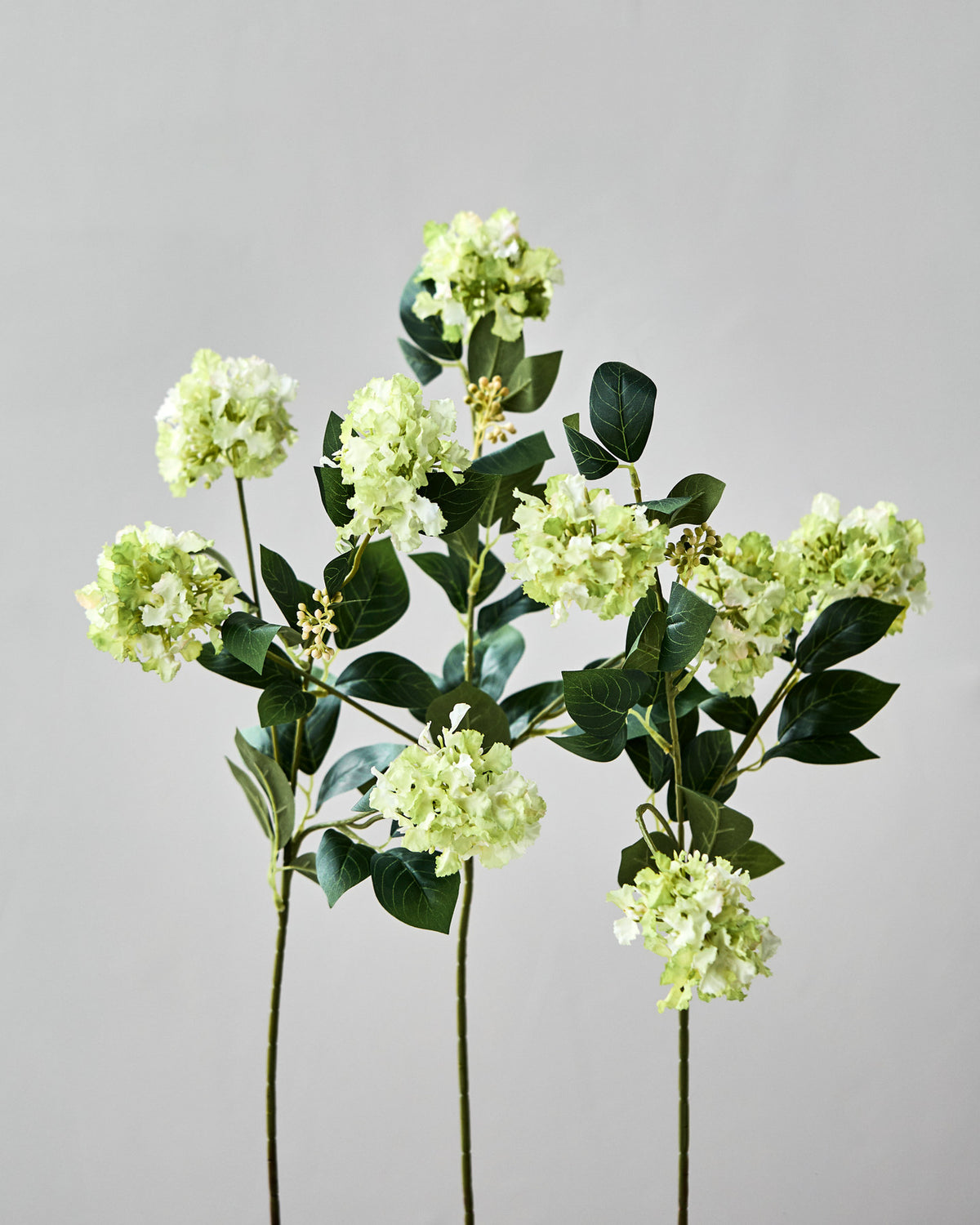 Artificial flower, HDViburnum, Grün in Green präsentiert im Onlineshop von KAQTU Design AG. Kunstblume ist von House Doctor