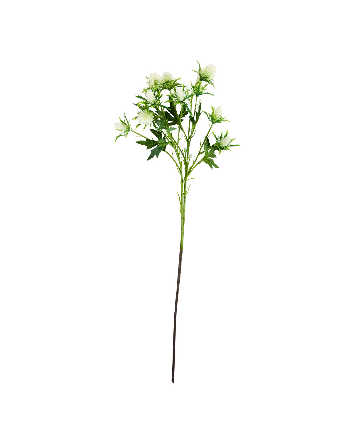 Artificial flower, HDEryngium, Weiß in White präsentiert im Onlineshop von KAQTU Design AG. Kunstpflanze ist von House Doctor