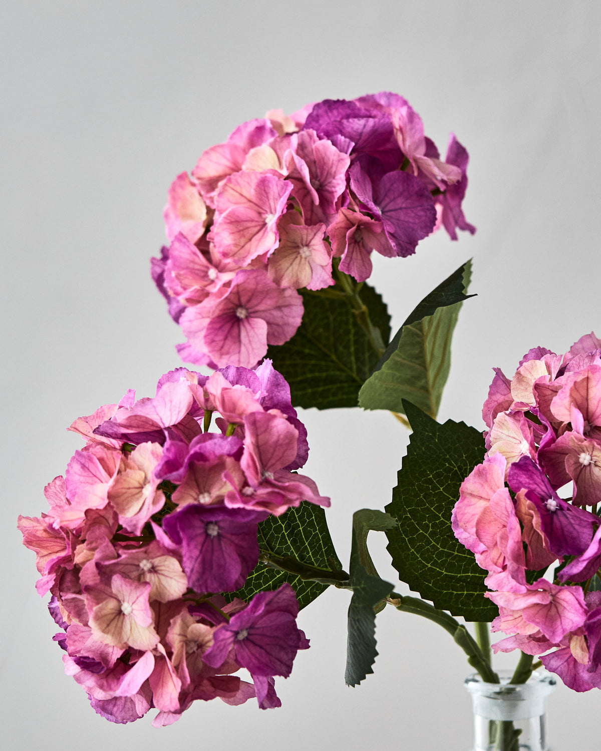Artificial flower, HDHydrangea, Rosa in Pink präsentiert im Onlineshop von KAQTU Design AG. Kunstblume ist von House Doctor