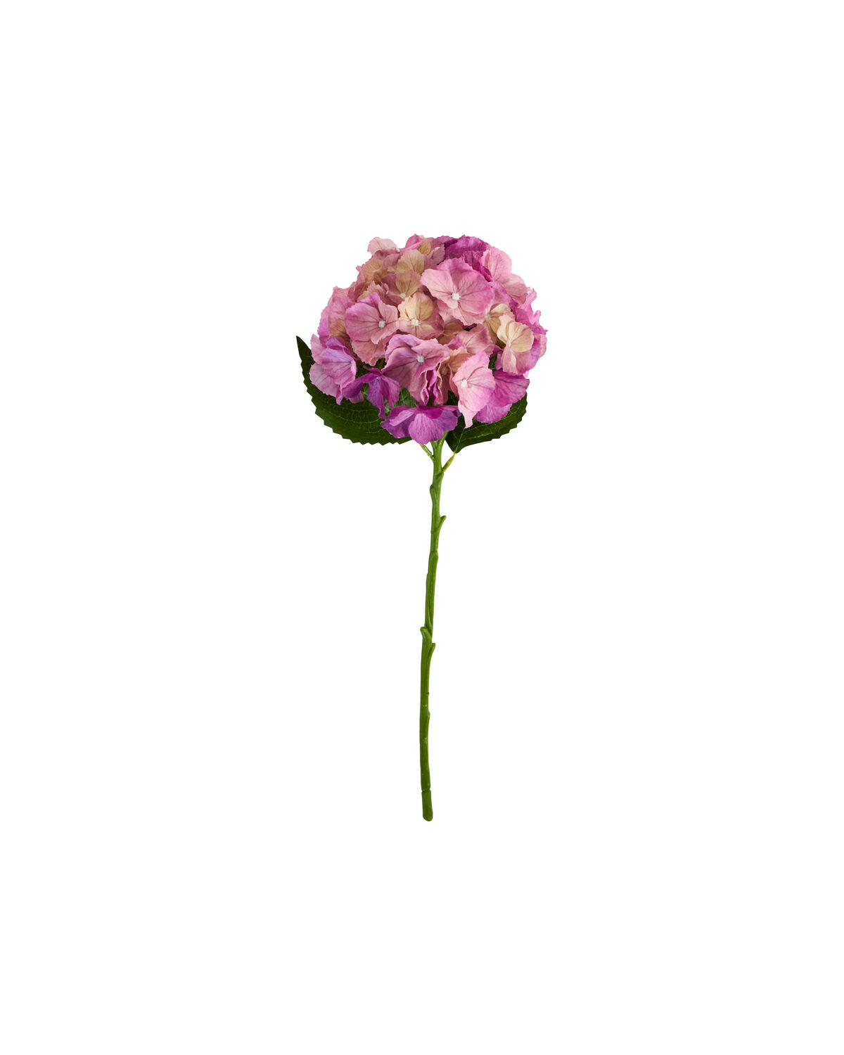 Artificial flower, HDHydrangea, Rosa in Pink präsentiert im Onlineshop von KAQTU Design AG. Kunstpflanze ist von House Doctor