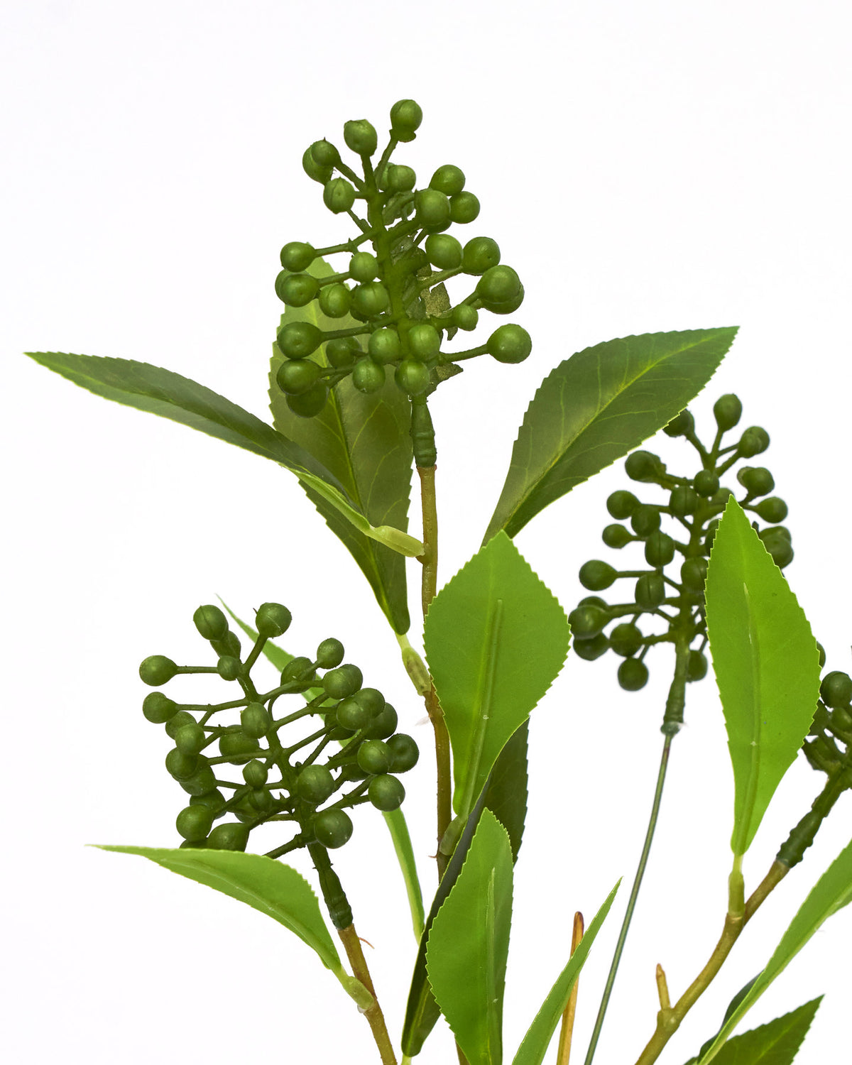Kunstblume Artificial branch HDLigustrum in Grün, langer Zweig aus Polyethylen und Polyester