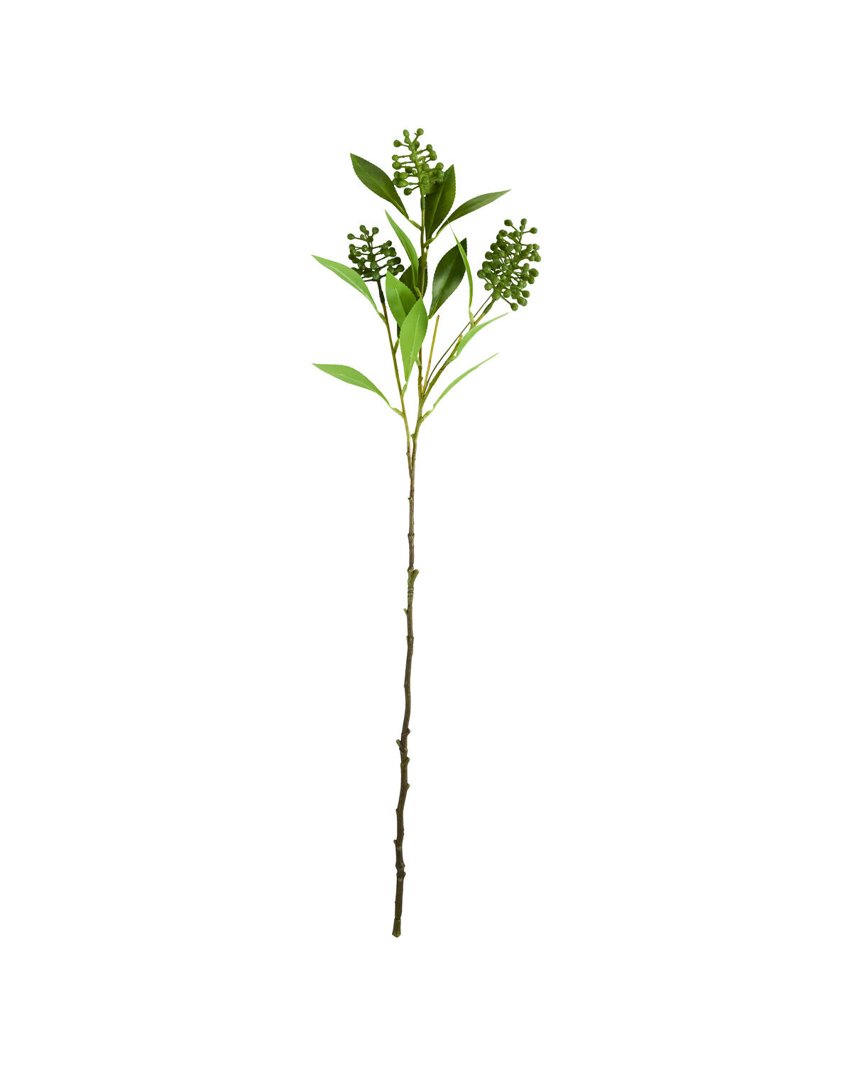 Artificial branch, HDLigustrum, Grün in Green präsentiert im Onlineshop von KAQTU Design AG. Kunstpflanze ist von House Doctor