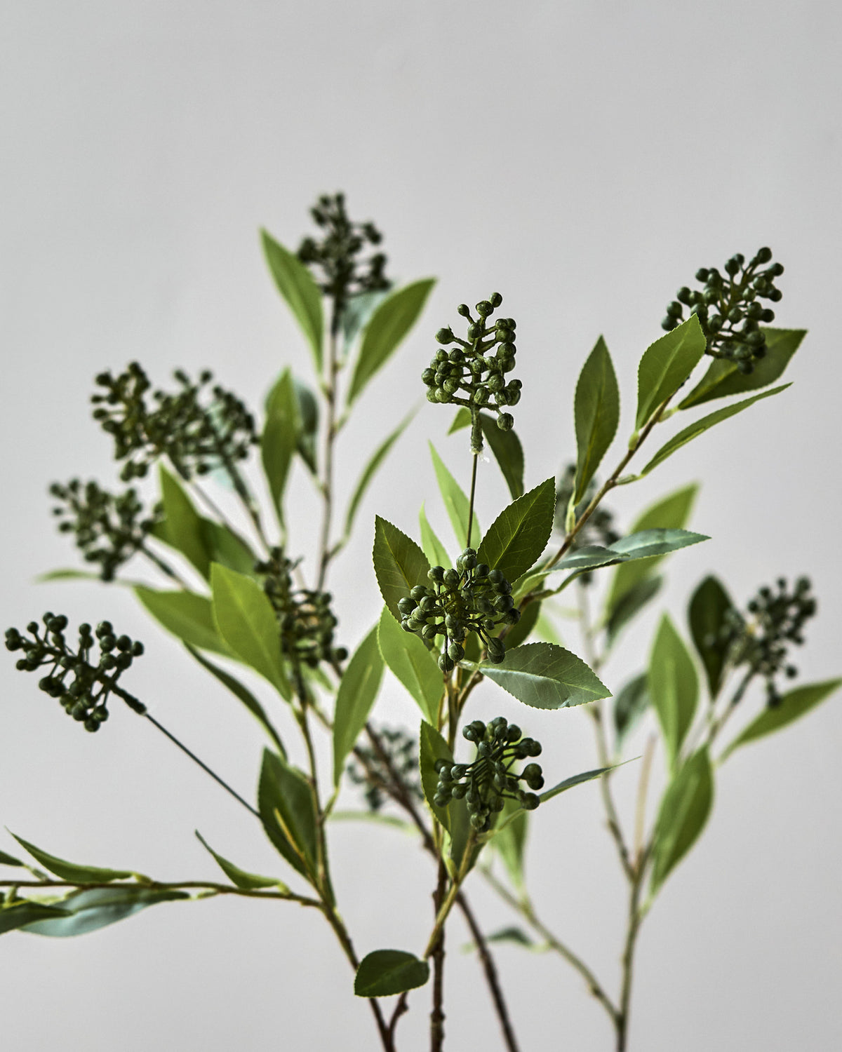 Kunstblume Artificial branch HDLigustrum in Grün, langer Zweig aus Polyethylen und Polyester